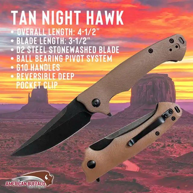Desert Night Hawk - image 5