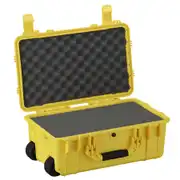 Thumbnail of 22" Large Case #300, image 13