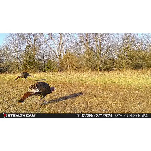 Fusion™ Max Cellular Trail Camera - image 13