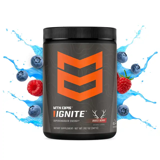 IGNITE - image 7