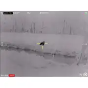 Thumbnail of Contractor 640 4.8-19.2x75 Thermal Weapon Sight, image 36