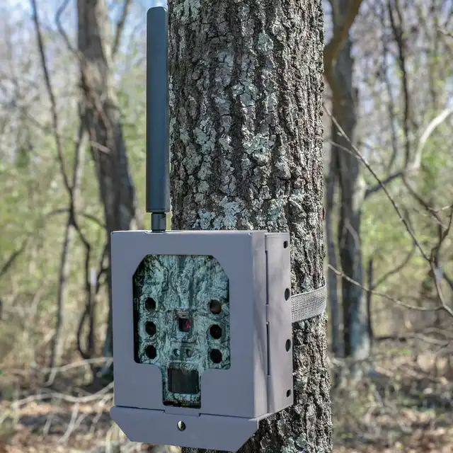 TRAIL CAMERA SECURITY BOX - image 4