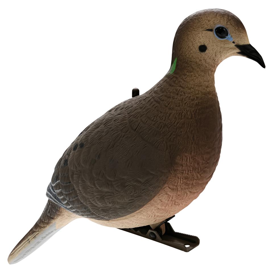  バード　 Dove 10447126a5362db4979ccb5b0aabdf