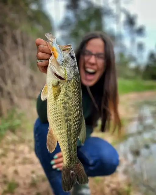 Sunfish Swimbait - image 4