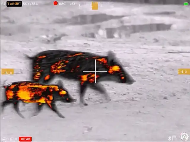 Contractor 320 3-12x25 Thermal Weapon Sight - image 15