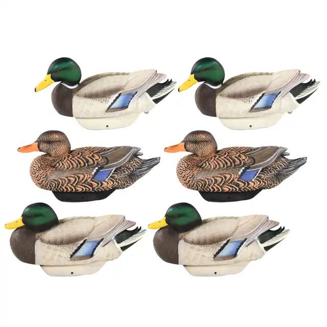 HydroFoam Mallard 6 Pack