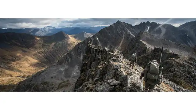 CROSSFIRE II 4-16x50 AO Dead-Hold BDC (MOA) - image 7