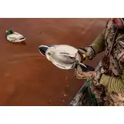 Thumbnail of HydroFoam Mallard 6 Pack, image 17