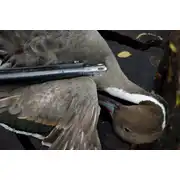 Thumbnail of Waterfowl Crusher Choke, image 2