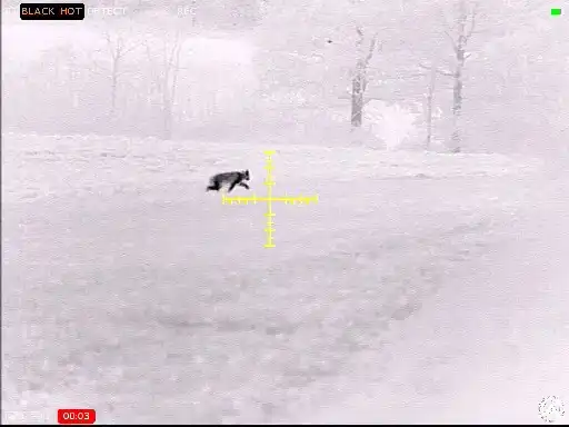 Contractor 320 3-12x25 Thermal Weapon Sight - image 39