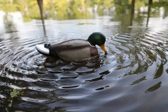 MOJO® Rippler - image 3