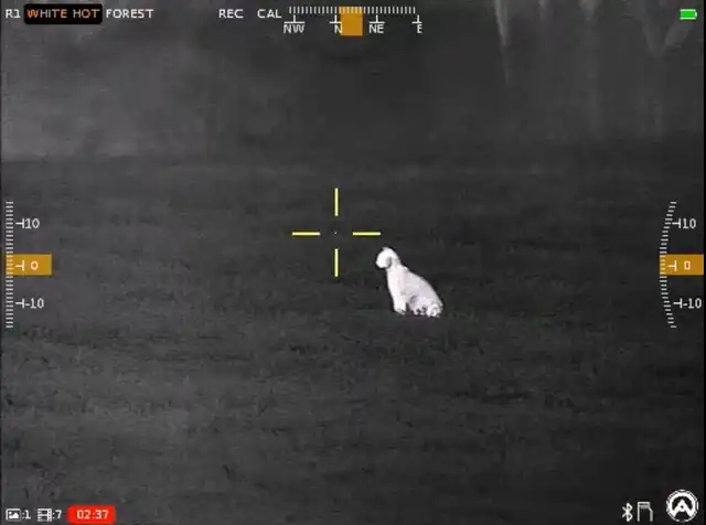 Contractor 320 3-12x25 Thermal Weapon Sight - image 38