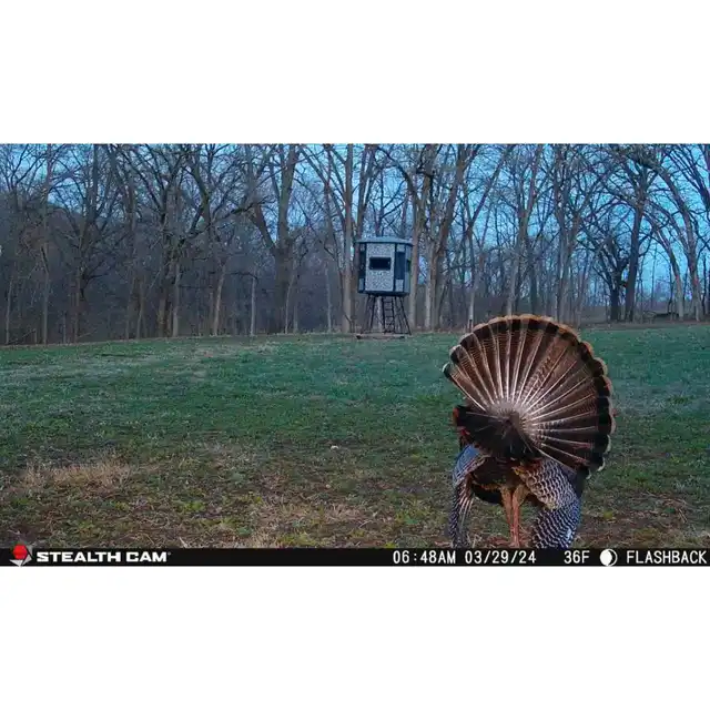Flashback White Flash Cellular Trail Camera - image 16