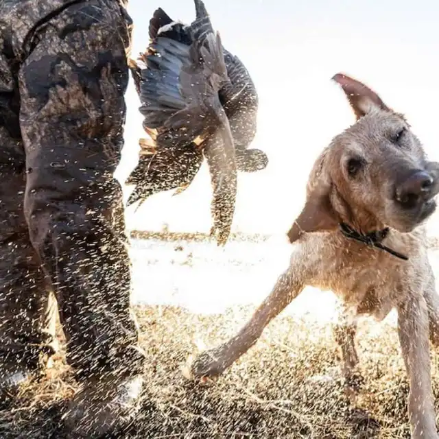 Men's Shield Insulated Waders - Realtree Timber - image 9