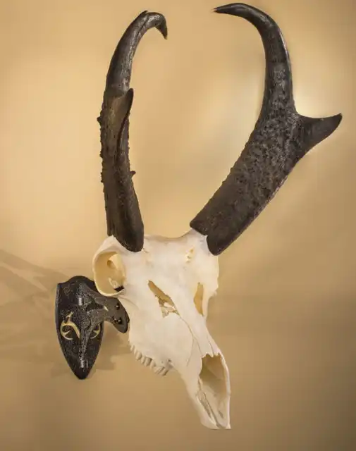 REALTREE® Edition Little Hooker® - image 5