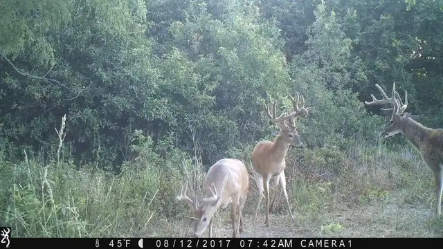 Strike Force HD Extreme - image 5