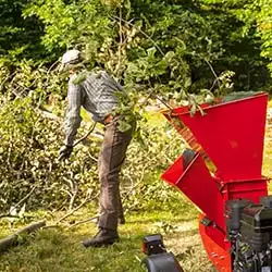 DR Chipper Shredder PRO XL501 - image 6