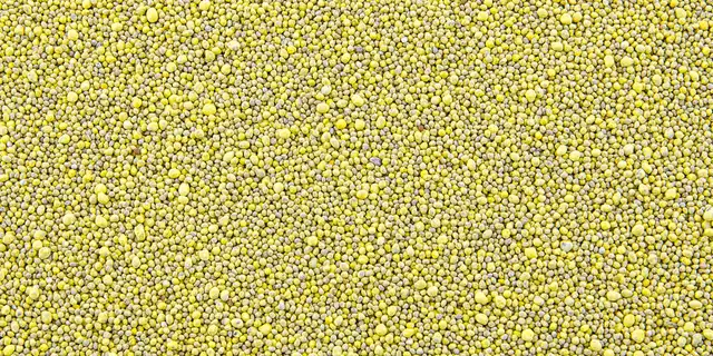 CLOVER PRO - image 4