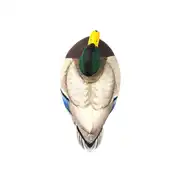 Thumbnail of HydroFoam Mallard 6 Pack, image 8