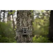 Thumbnail of FLEX-M, image 6