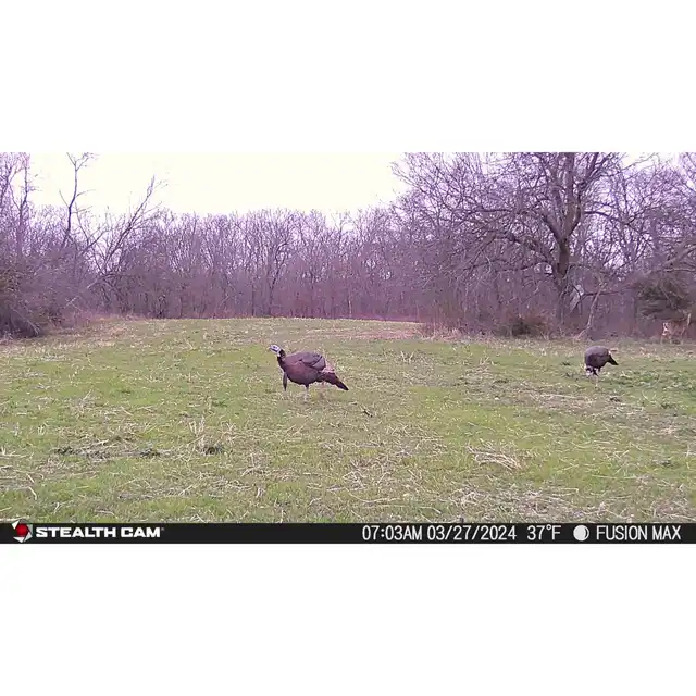 Fusion™ Max Cellular Trail Camera - image 11