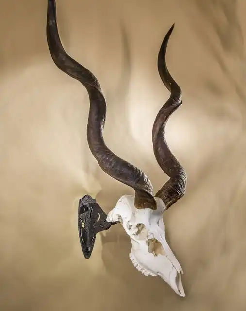 Big Hooker® Short Arm Accessory - image 7