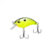 Thumbnail of ATV SQUAREBILL 1.0, image 6