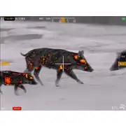 Thumbnail of Contractor 640 4.8-19.2x75 Thermal Weapon Sight, image 13