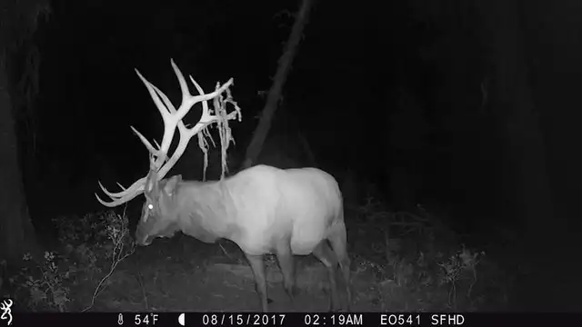 Strike Force HD Extreme - image 3