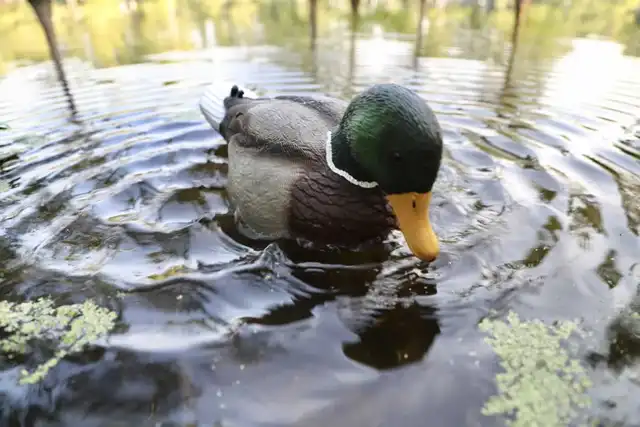 MOJO® Rippler - image 4