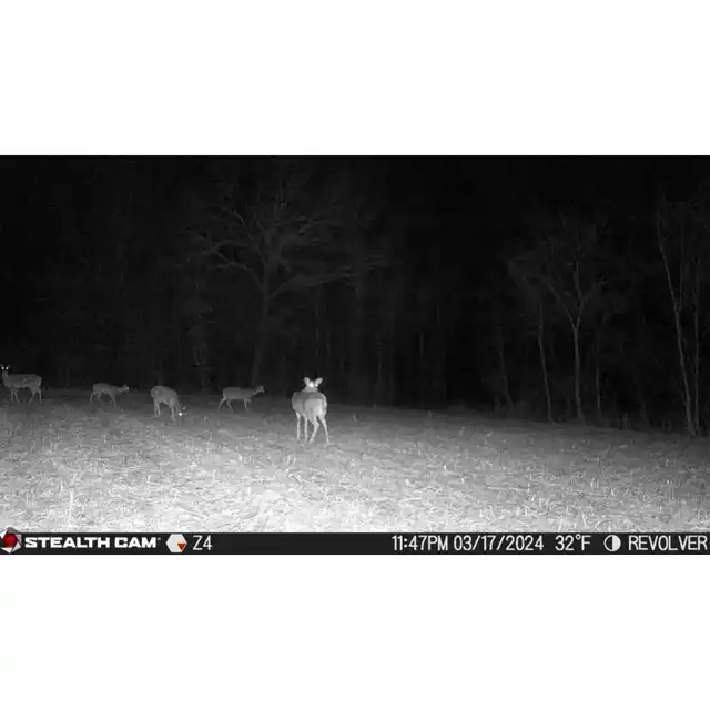 Revolver 360° Cellular Trail Camera - image 12