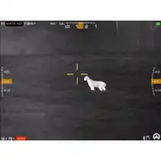 Thumbnail of Contractor 640 4.8-19.2x75 Thermal Weapon Sight, image 25