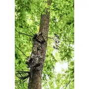 Thumbnail of GLASSPAK SPORT BINOCULAR HARNESS (LARGE), image 14