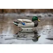 Thumbnail of HydroFoam Mallard 6 Pack, image 23