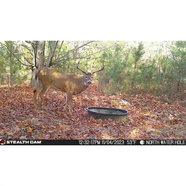 Fusion™ Max Cellular Trail Camera - image 14