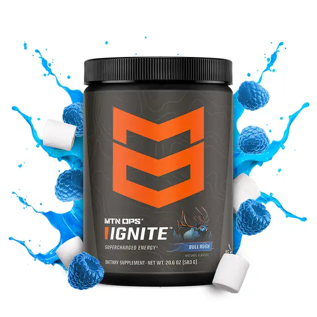 IGNITE - image 10