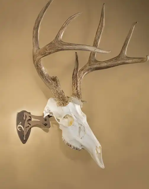 REALTREE® Edition Little Hooker® - image 9