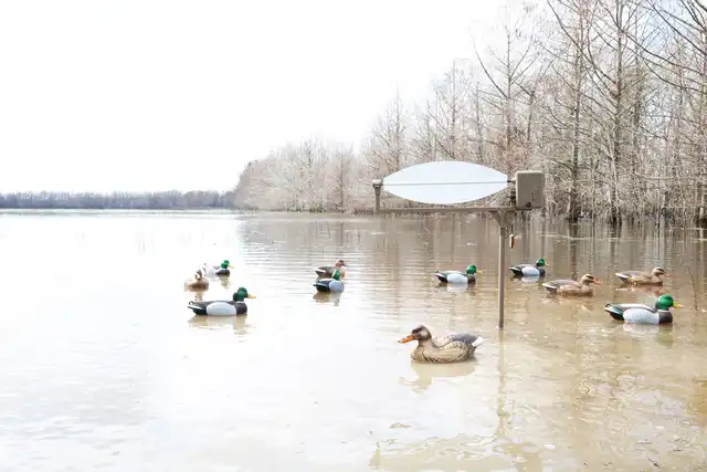 MOJO® Big Blade - image 4