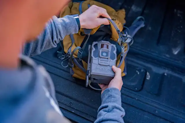 Reveal Pro 3.0 - image 7