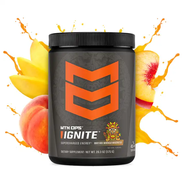 IGNITE - image 14