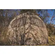 Thumbnail of DOGHOUSE EXTREME, image 2