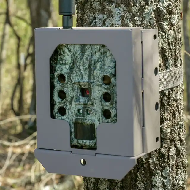 TRAIL CAMERA SECURITY BOX - image 3