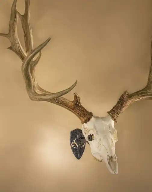 REALTREE® Edition Little Hooker® - image 6