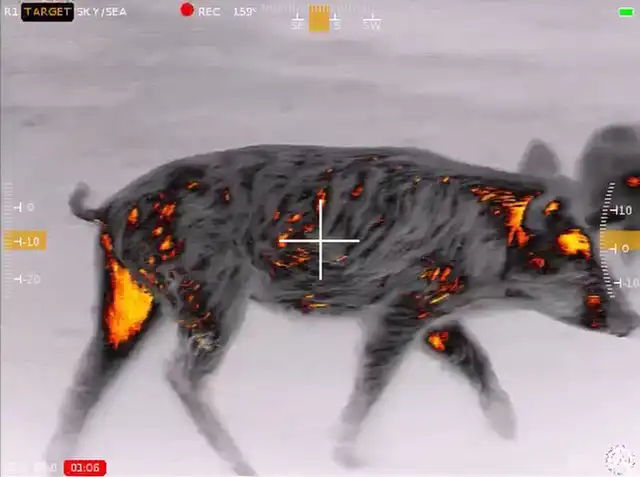 Contractor 320 6-24x50 Thermal Weapon Sight - image 49