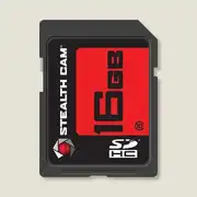 Thumbnail of 16GB SD MEMORY CARD SINGLE PACK, image 1