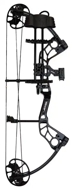 Shootout RTH - image 3