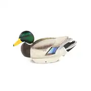 Thumbnail of HydroFoam Mallard 6 Pack, image 10