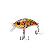 Thumbnail of ATV SQUAREBILL 1.0, image 13