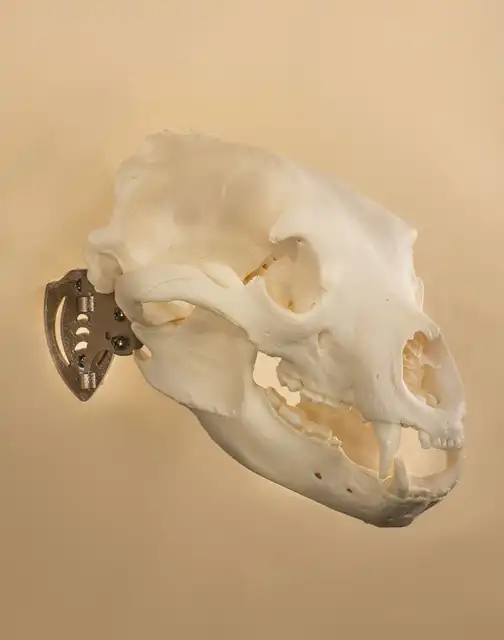 Mini Hooker - image 2