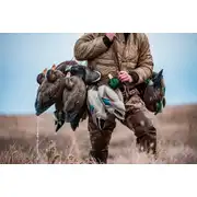 Thumbnail of HydroFoam Mallard 6 Pack, image 25